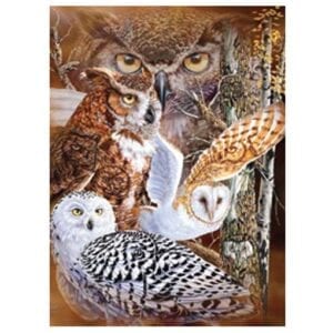 Brown and white owls in the forest