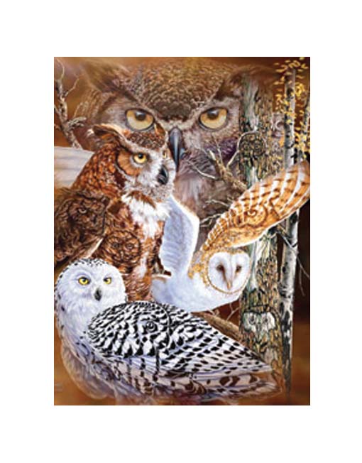 Brown and white owls in the forest
