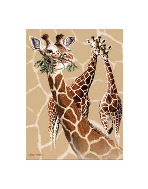 Giraffes on giraffe print background