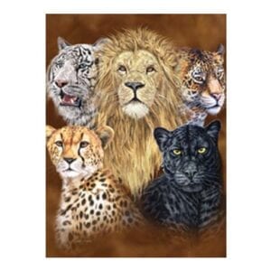 cheetah white tiger and lion blanket