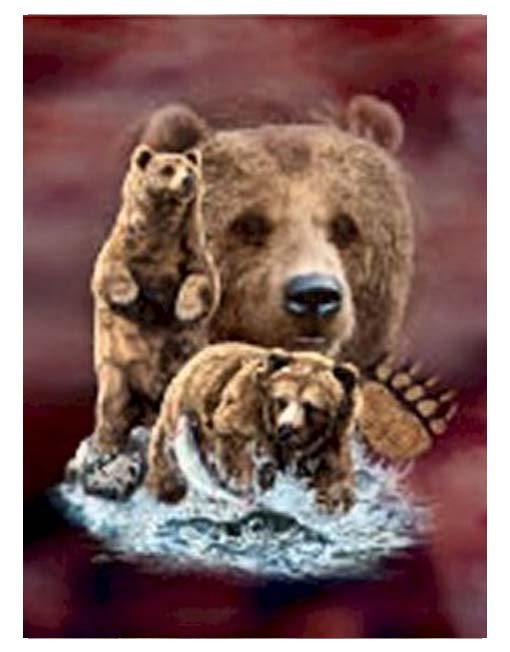 maroon background with brown bears